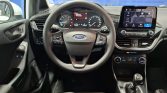 Ford Fiesta 1.0 EcoBoost 100 CV Trend